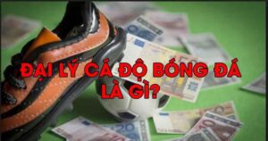 Đại lý bóng đá mang đến nhiều ưu đãi hấp dẫn 